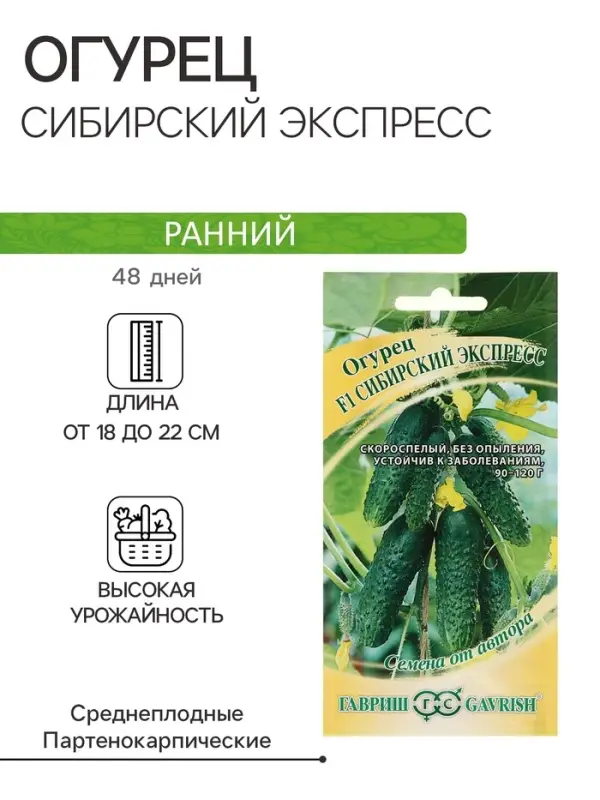 Семена Огурец "Сибирский экспресс", F1, 10 шт