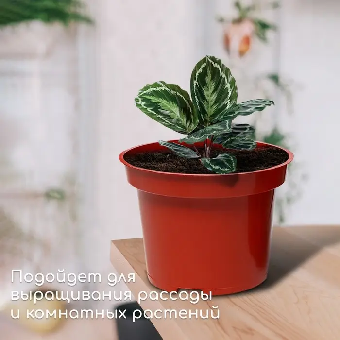Горшок для рассады, 7,5 л, d = 25,5 см, h = 20,5 см, терракот, Greengo