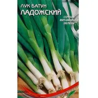 Семена  Лук батун "Ладожский" (/: 17 е/д)