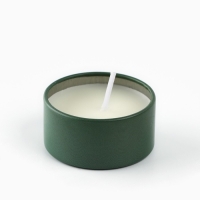 Свеча новогодняя в железной банке &laquo;Новый год: Тепла и уюта&laquo;Новый год: аромат мята, 4.8 см