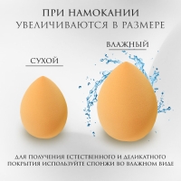Спонжи для макияжа, набор - 4 шт, увеличиваются при намокании, цвет жёлтый Спонжи для макияжа, набор - 4 шт, увеличиваются при намокании, цвет жёлтый