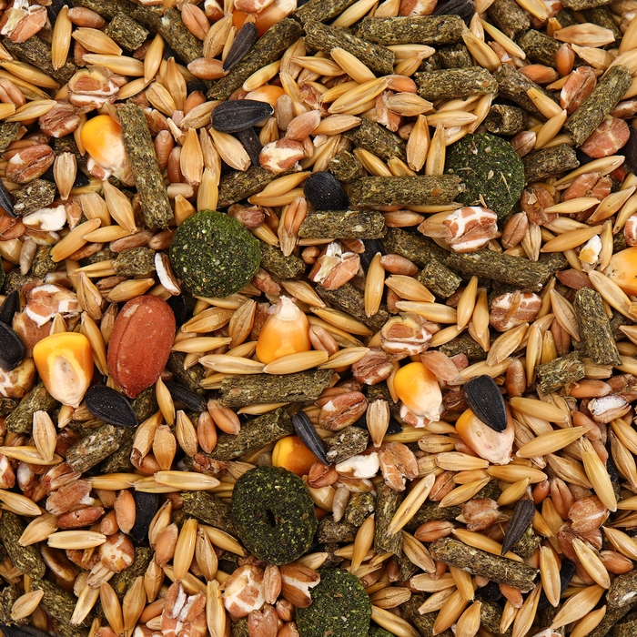 Корм Корм "Пижон" для морских свинок, с орехами, 400 г