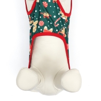 Толстовка "Пряня", размер XL (ДС 40, ОШ 40, ОГ 50 см), зелёная Толстовка "Пряня", размер XL (ДС 40, ОШ 40, ОГ 50 см), зелёная