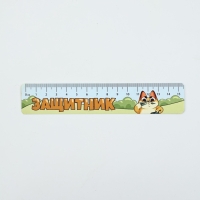 Подарочный набор 6 предметов "С 23 февраля! Кот"