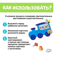 Обучающий набор с прищепками &laquo;Мой, моя, моё, мои&raquo;
