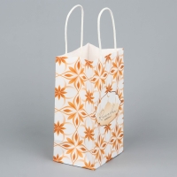 Пакет подарочный крафтовый &laquo;Рамадан&raquo; , Ramadan kareem, 12 х 21 х 9 см