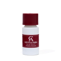 Туалетная вода мужская Chris Adams Ca Gentleman, 100 мл Туалетная вода мужская Chris Adams Ca Gentleman, 100 мл