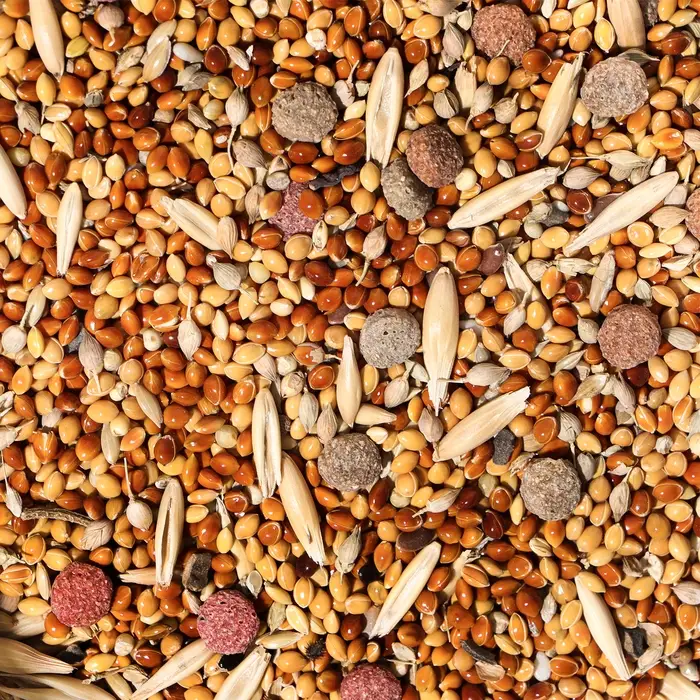 Корм "Верные друзья" для мелких и средних попугаев, с витаминами, 500 г