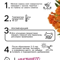 Семена Ваточник "Золотинка", ц/п,  0,03 г