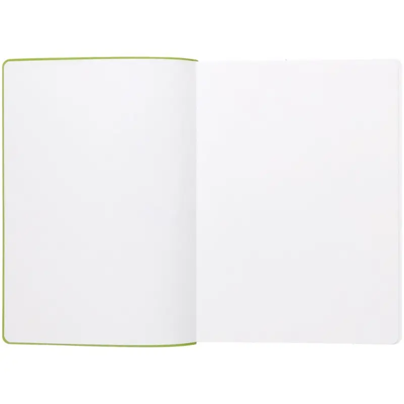 Ежедневник Flexpen, недатированный, серебристо-зеленый