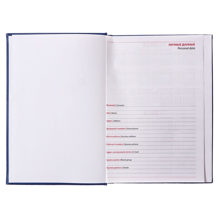 Ежедневник недатированный А5, 160 листов "Вивелла", обложка искусственная кожа, синий