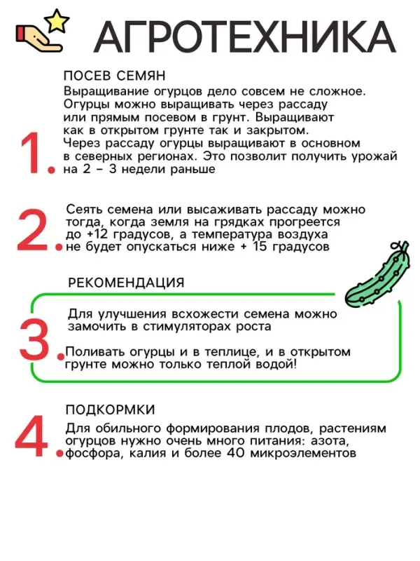 Семена Огурец "Китайский Змей", среднепоздний, пчелоопыляемый, 10  шт