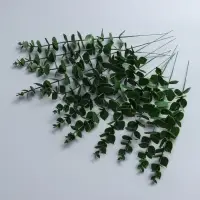 Декоративная ветка &laquo;Эвкалипт&raquo;, 39 &times; 4,5 &times; 4,5 см