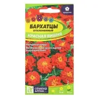 Семена цветов Бархатцы "Красная Вишня", ц/п,  О, 0,2 г.