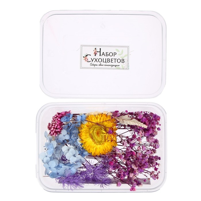 Набор для творчества «Набор сухоцветов», большой, голубой, жёлтый, сиреневый Набор для творчества «Набор сухоцветов», большой, голубой, жёлтый, сиреневый