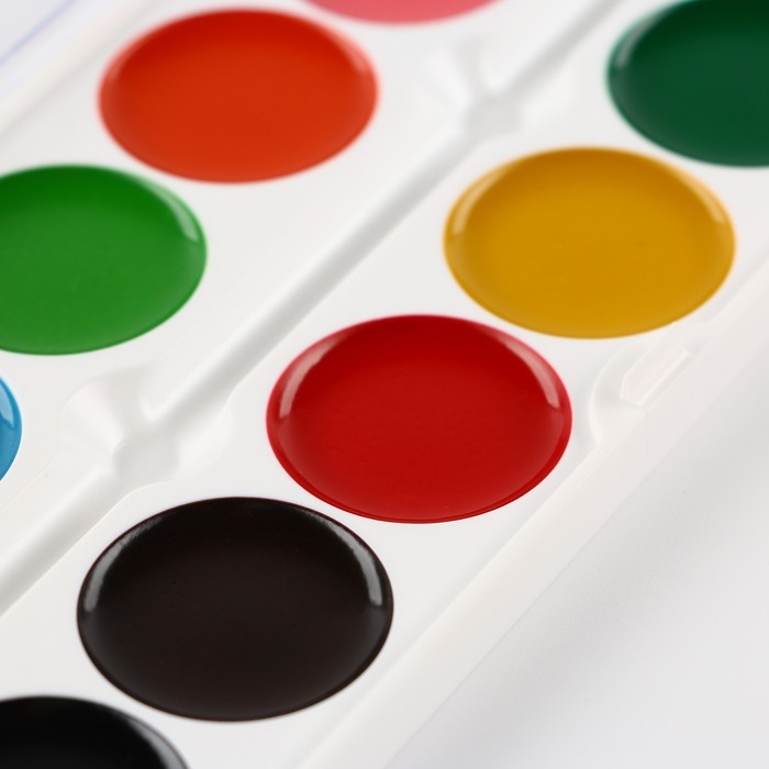 Акварельные краски медовые 12 цветов в пластиковой коробке, без кисти