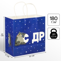 Пакет подарочный "С Др тебя если чо" 22х22х11 см, крафт, упаковка, Жил-был Пес Пакет подарочный "С Др тебя если чо" 22х22х11 см, крафт, упаковка, Жил-был Пес