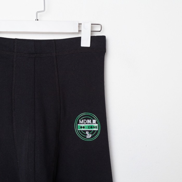 Термобельё мужское (кальсоны), цвет чёрный, размер 46