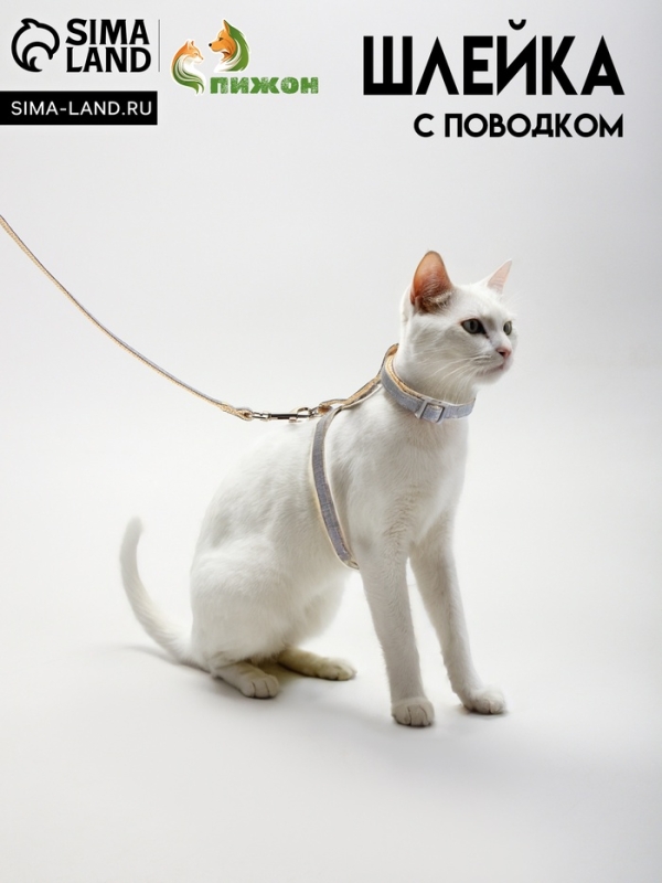 Комплект амуниции "Жаккард", поводок 120 х 1 см, серый