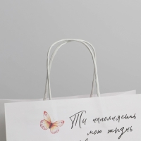 Пакет подарочный, упаковка, &laquo;Тепло&raquo;, 22 х 22 х 11 см