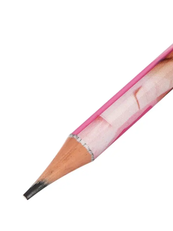 Карандаш чернографитный, ErichKrause CapyBarbara, круглый, с ластиком, НВ, дизайн, пластик