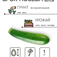 Семена Кабачок "Скворушка", 1 г