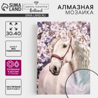 Алмазная мозаика с частичным заполнением и форменными стразами на холсте &laquo;Прекрасный конь&raquo;, 30 х 40 см