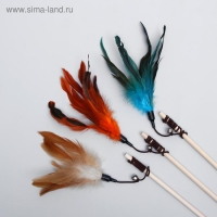 Дразнилка-удочка с перышками и бубенчиком, деревянная палочка 40 см, микс цветов Дразнилка-удочка с перышками и бубенчиком, деревянная палочка 40 см, микс цветов