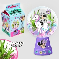 Набор для опытов &laquo;Чудесный флорариум&raquo;, Минни Маус