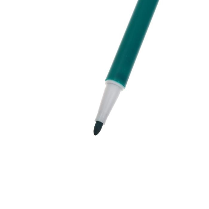 Фломастеры 24 цвета HappyColor, на водной основе, в пластиковом пенале, МИКС