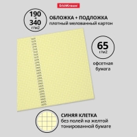 Тетрадь на спирали, 80 листов в клетку, ErichKrause Megapolis Yellow Concept, обложка мелованный картон, жёлтый внутренний блок Тетрадь на спирали, 80 листов в клетку, ErichKrause Megapolis Yellow Concept, обложка мелованный картон, жёлтый внутренний блок