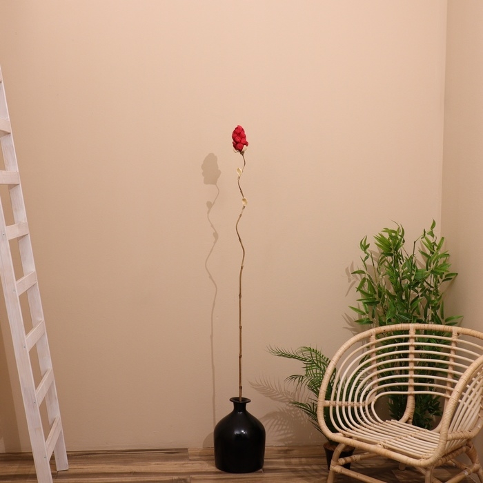 Сухоцвет на бамбуковом стебле 150 см красный Сухоцвет на бамбуковом стебле 150 см красный