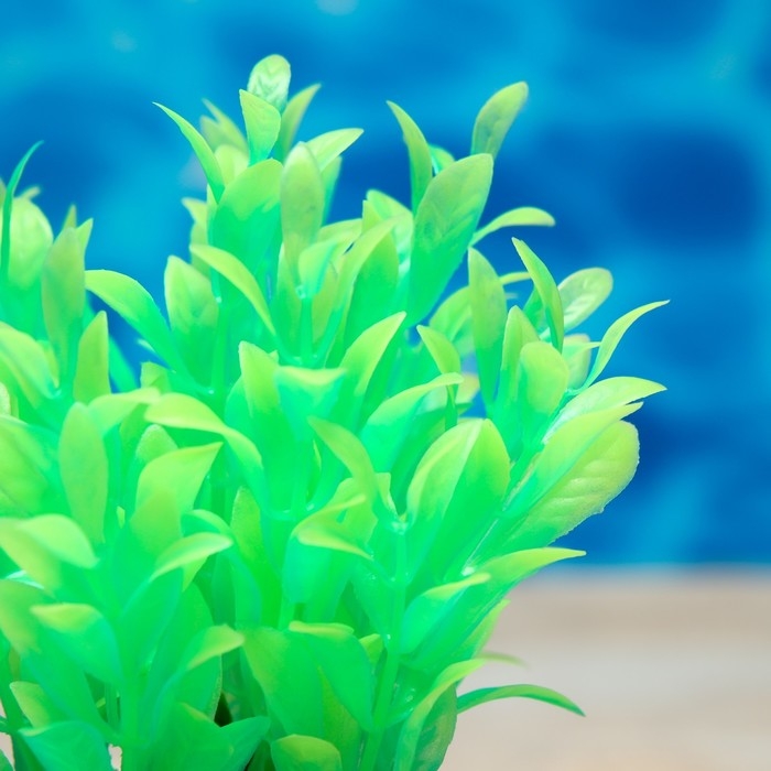 Растение искусственное аквариумное, светящееся, 10 см, зелёное Растение искусственное аквариумное, светящееся, 10 см, зелёное