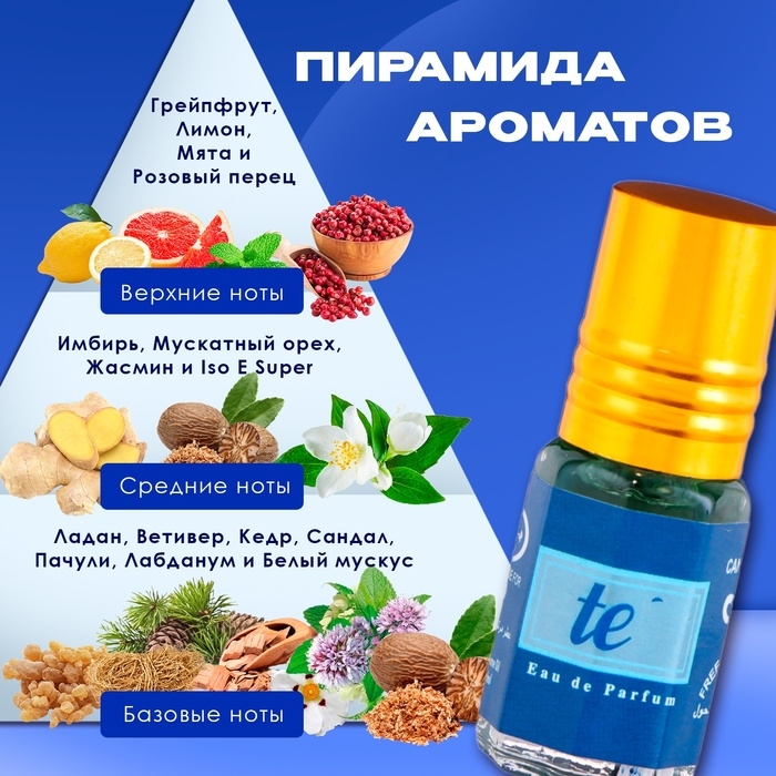 Духи масляные мужские Le blue, 3 мл