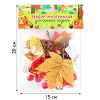 Набор для творчества &laquo;Материалы для осенних поделок. Листья, шишки&raquo;