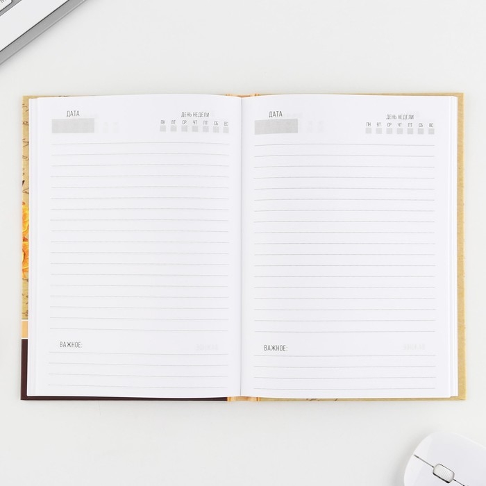 Ежедневник в подарочной коробке &laquo;Золотому учителю&raquo;, формат А5, 80 листов, твердая обложка