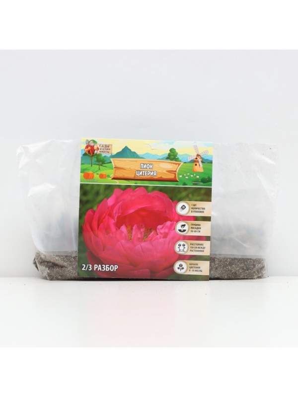 Пион Cytherea, корневище в пакете с торфогрунтом, р-р 2/3, 1 шт.