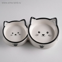 Миска керамическая "Кошачье семейство" 40/60 мл  двойная 19 х 10,5 х 3,5 см, бело-чёрная
