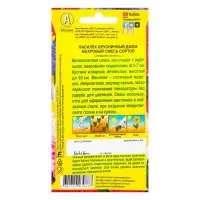 Семена цветов Василек "Брусничный джем" махровый, смесь окрасок, О, 0,3 г