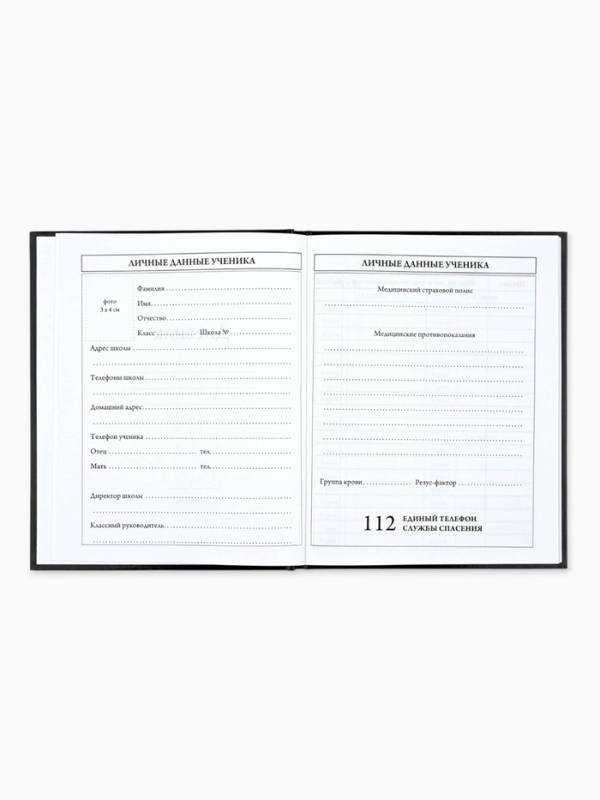 Дневник школьный для 5-11 класса, в твердой обложке, 48 л. "Отличник"