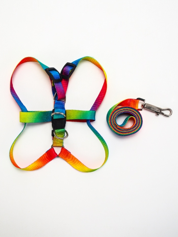 Комплект "Радуга", капрон, поводок 120 х 1,5 см, ОГ 24-34 см, разноцветный
