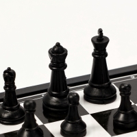 Шахматы 20 х 20 см, король h-3.3 см, d-2.5 см, доска и фигуры пластик