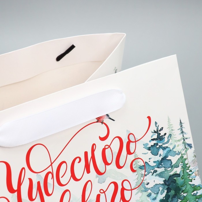 Пакет подарочный новогодний с широким дном &laquo;Новогодние чудеса&raquo;, 25 х 19 х 18 см, Новый год