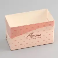 Коробка для 2 капкейка с прозрачной крышкой, &laquo;Сердечки&raquo;, 16&times;8&times;10 см