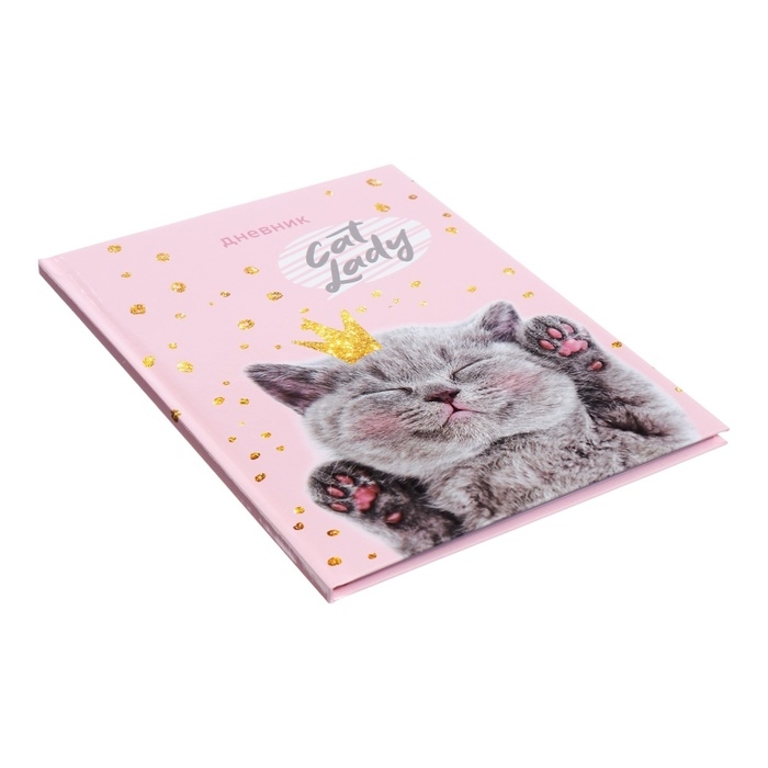 Дневник универсальный для 1-11 классов, "Киса", твердая обложка 7БЦ, глянцевая ламинация, 40 листов