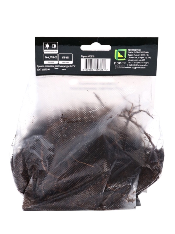 Посконник Посконник "пятнистый Беби Джо", 1 шт, р-р I, Весна 2025