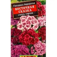 Набор Семена цветов Гвоздика турецкая многолетняя (238758319) ВБ