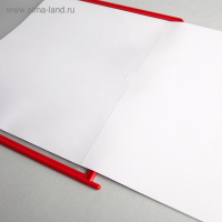 Информационный стенд «Информация» 15 карманов (5 плоских А4, 1 перекидная система на 10 карманов А4), цвет красный Информационный стенд «Информация» 15 карманов (5 плоских А4, 1 перекидная система на 10 карманов А4), цвет красный