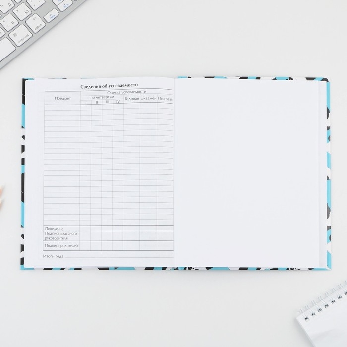 Дневник школьный 5-11 класс &laquo;Панды&raquo;, твердая обложка 7БЦ, глянцевая ламинация, 48 листов