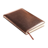 Ежедневник недатированный, обложка ПВХ, формат А5, 140 л, клетка, металлик Бронза Ежедневник недатированный, обложка ПВХ, формат А5, 140 л, клетка, металлик Бронза